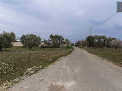 ...tra l�altro dopo 150 metri devia sulla sinistra costeggiando mandorli in fiore e uliveti...